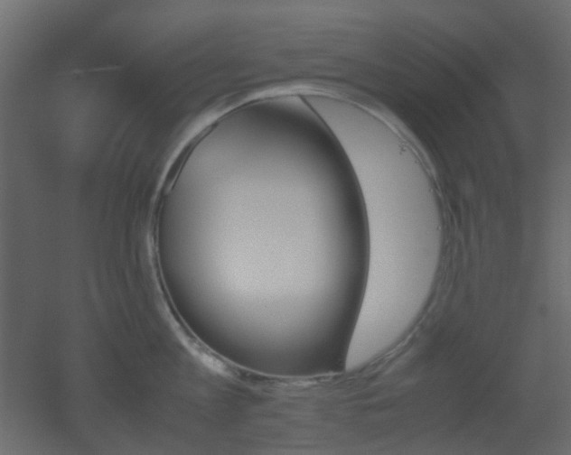 X0000051910813200506241441