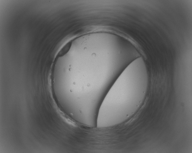 X0000051910814200506241441