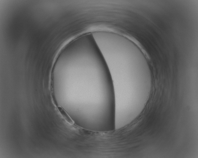 X0000051910815200506241441