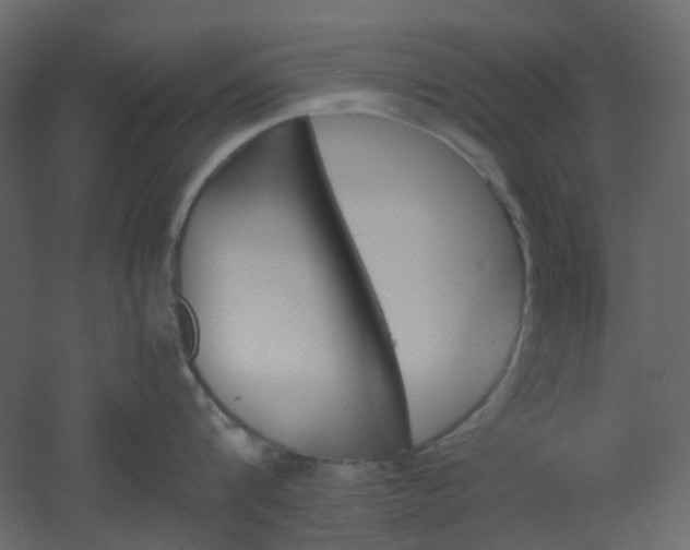 X0000051910816200506241441