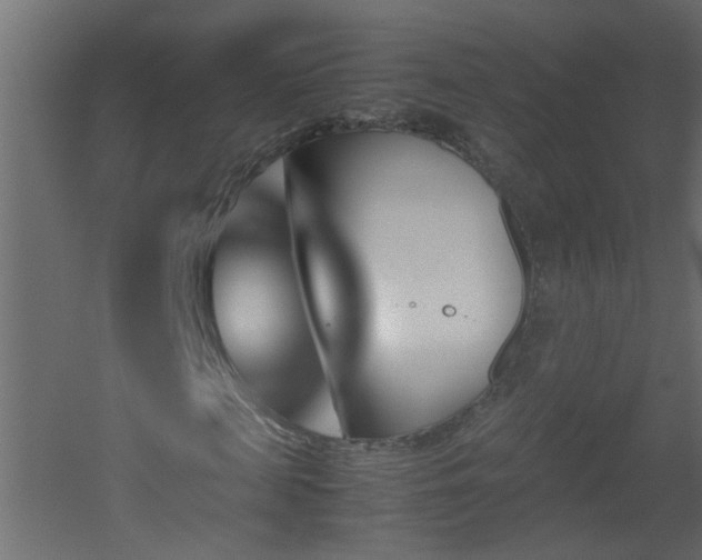 X0000051910817200506241440