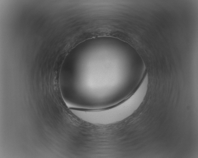 X0000051910818200506241440