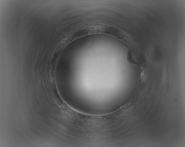 X0000051910819200506241440