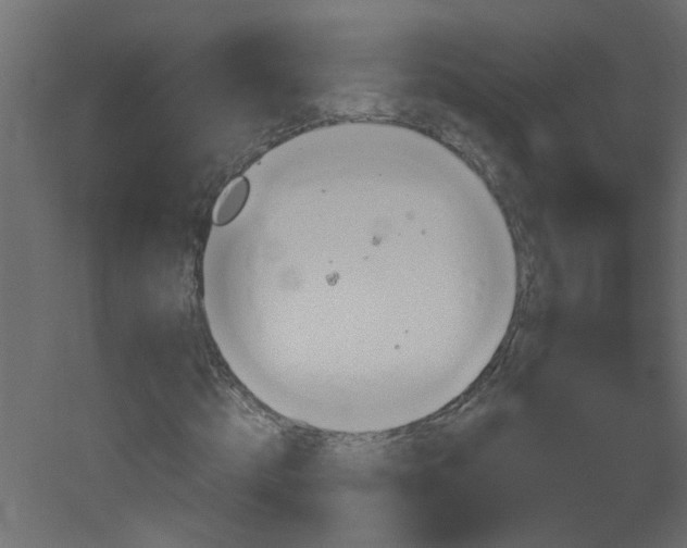 X0000051910820200506241440