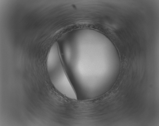 X0000051910821200506241440