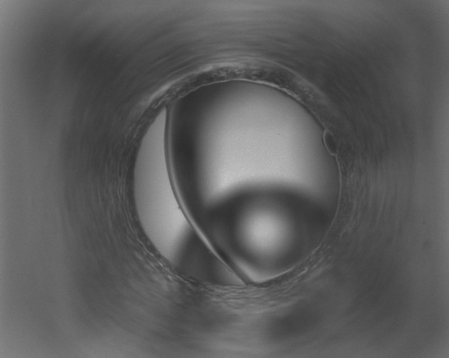 X0000051910822200506241440