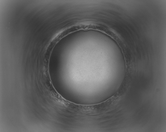 X0000051910823200506241440