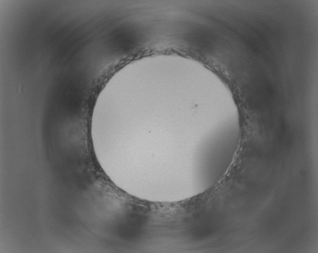 X0000051910824200506241440