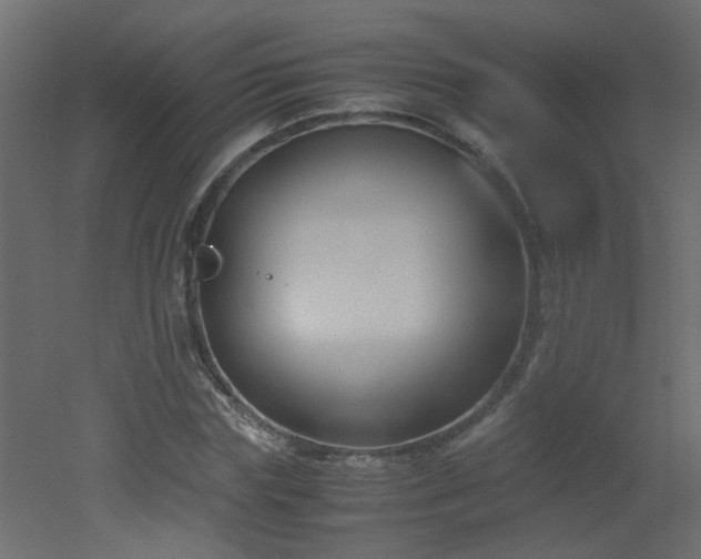 X0000051910827200506241440