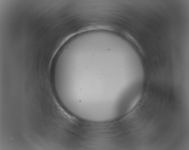 X0000051910828200506241440