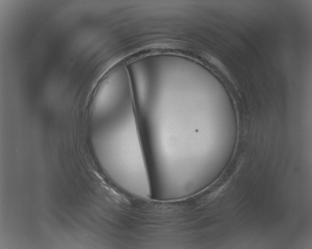 X0000051910829200506241440