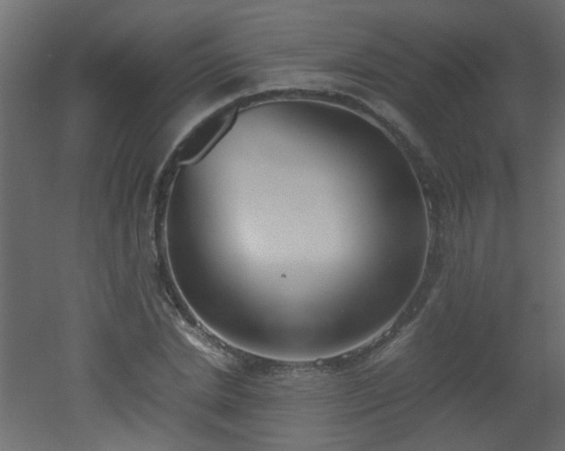 X0000051910830200506241440