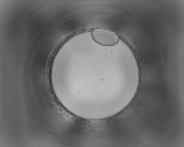 X0000051910832200506241441