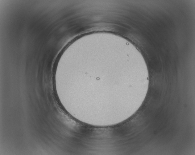 X0000051910836200506241441