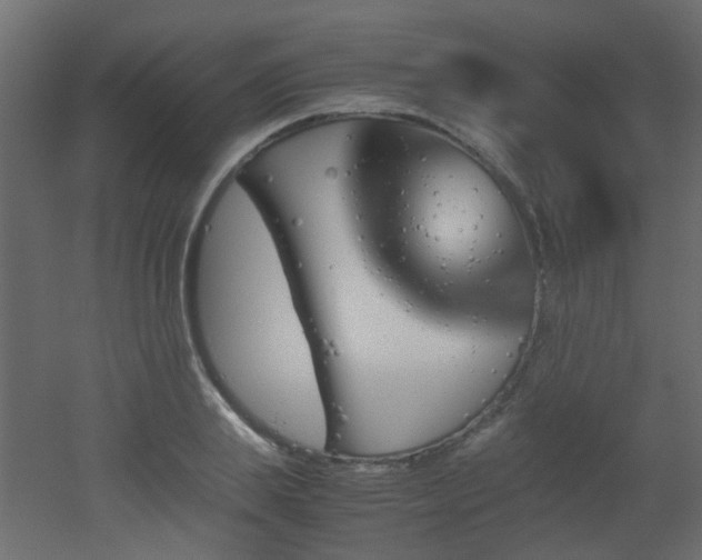 X0000051910839200506241441