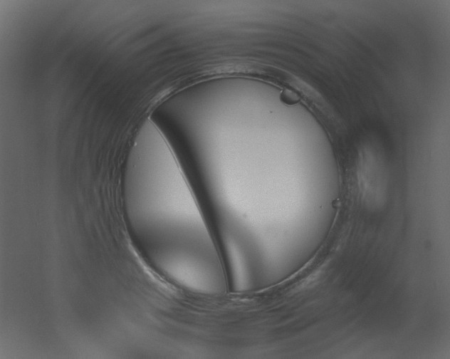 X0000051910841200506241441