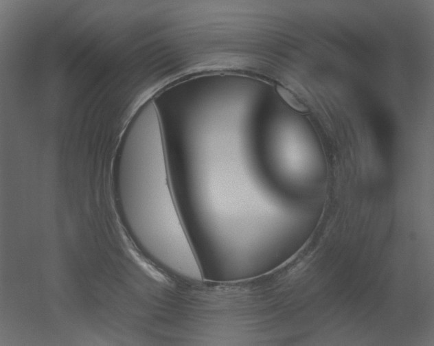 X0000051910842200506241441