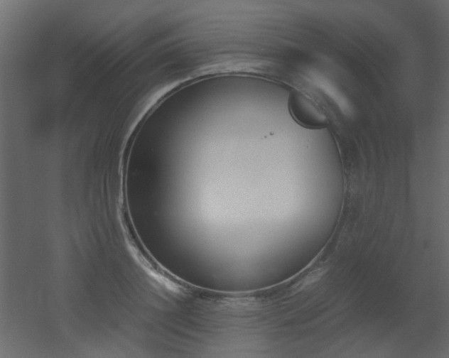 X0000051910844200506241441