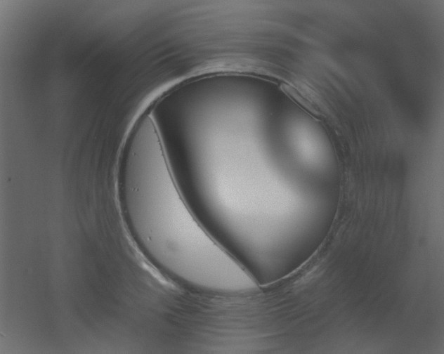 X0000051910846200506241441