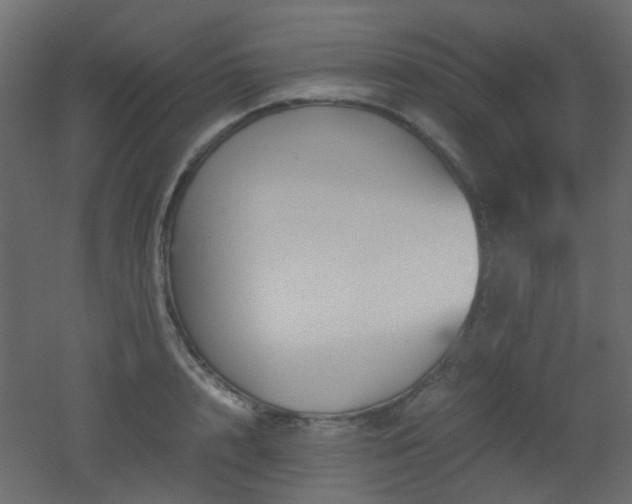 X0000051910848200506241441