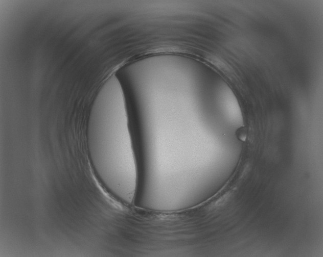 X0000051910849200506241441