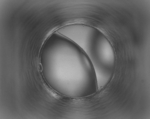 X0000051910850200506241441