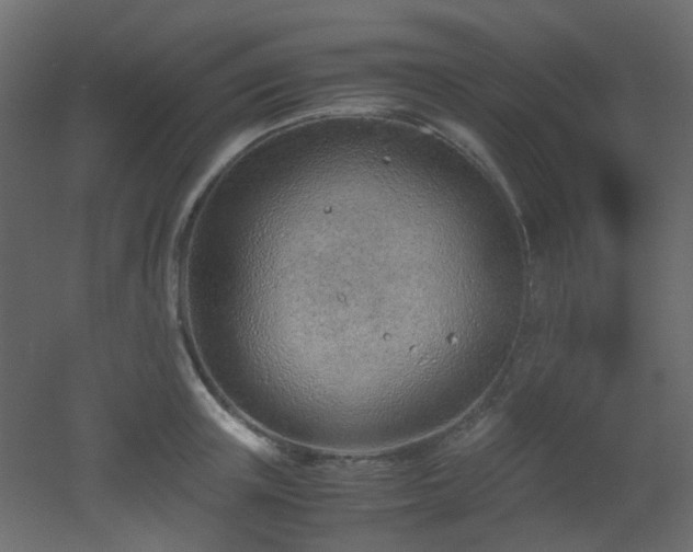 X0000051910851200506241441