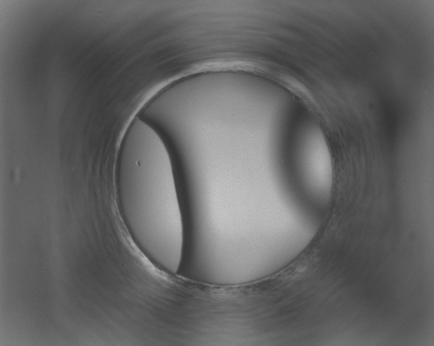 X0000051910852200506241441