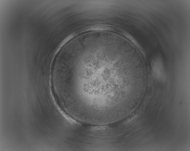 X0000051910853200506241441