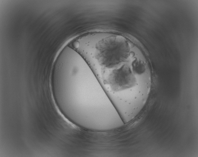 X0000051910855200506241441