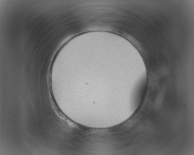 X0000051910856200506241441