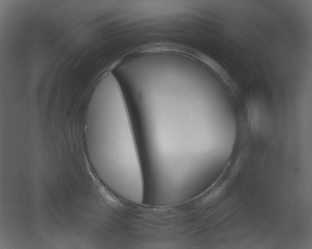 X0000051910857200506241441