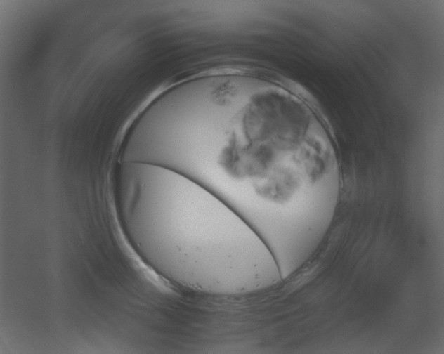 X0000051910859200506241441