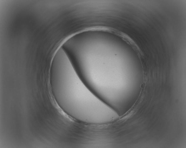 X0000051910860200506241441