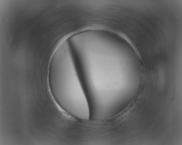 X0000051910861200506241441