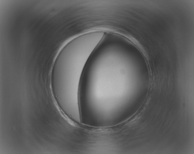 X0000051910862200506241441