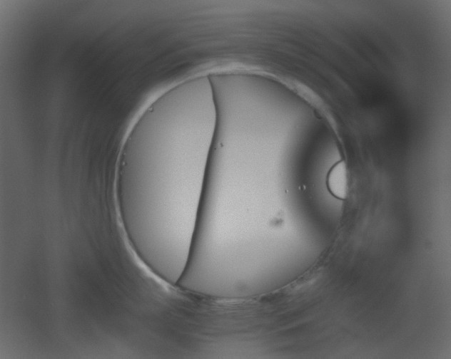 X0000051910863200506241441