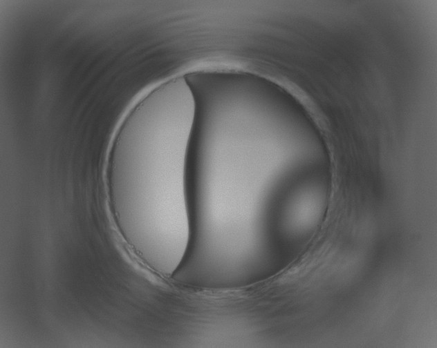 X0000051910864200506241441