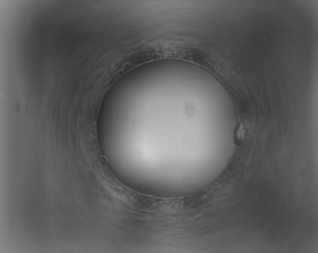 X0000051910865200506241440