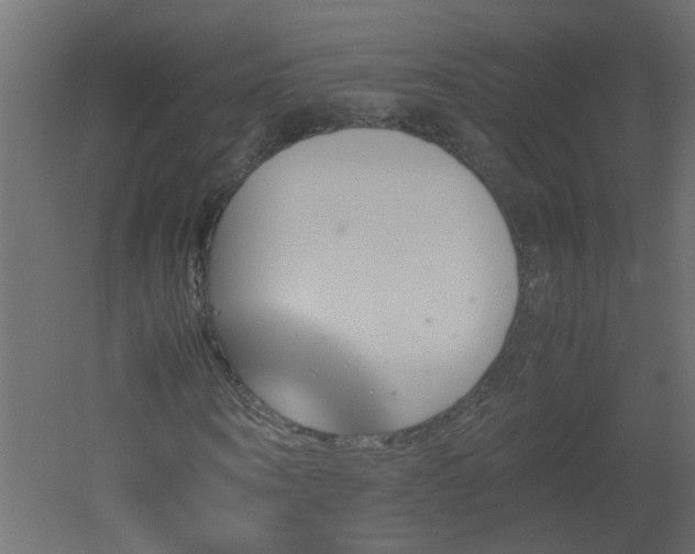 X0000051910866200506241440