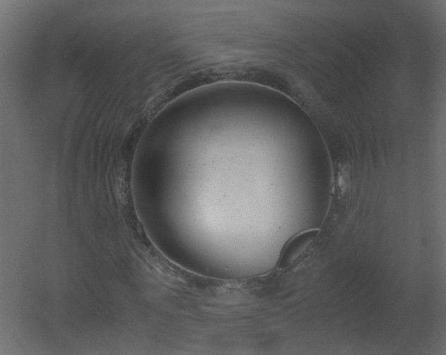 X0000051910867200506241440