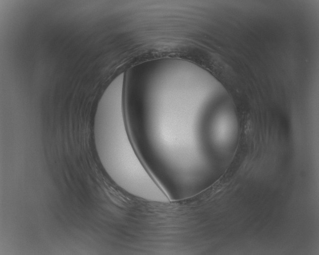 X0000051910868200506241440