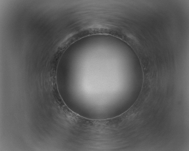 X0000051910870200506241440