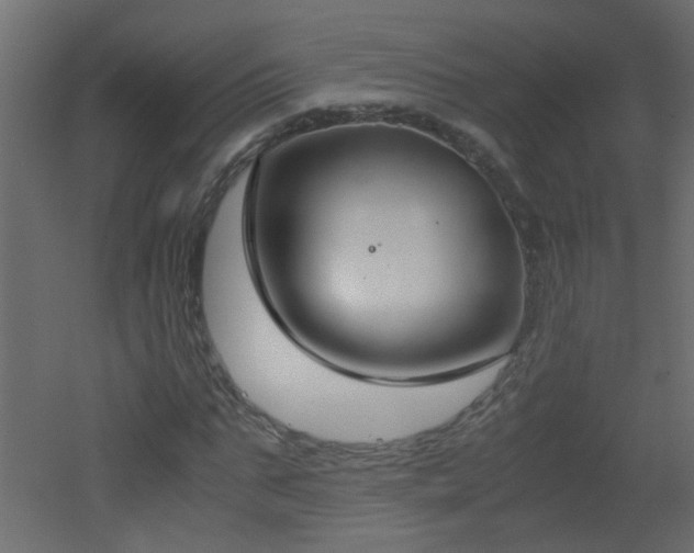 X0000051910871200506241440