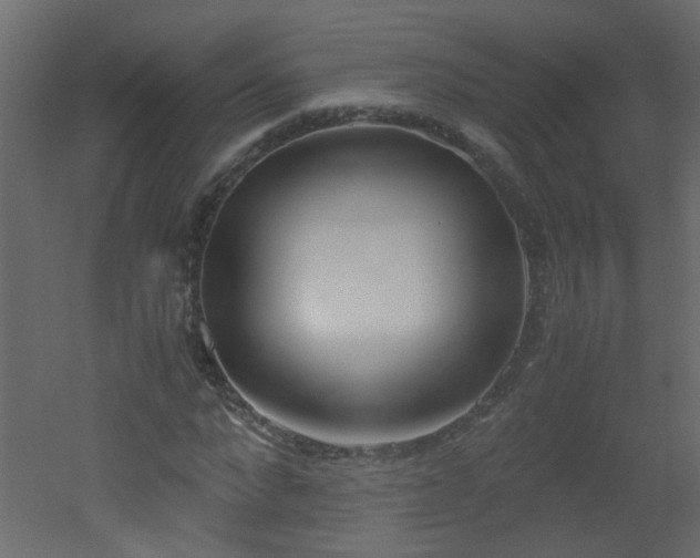 X0000051910872200506241440