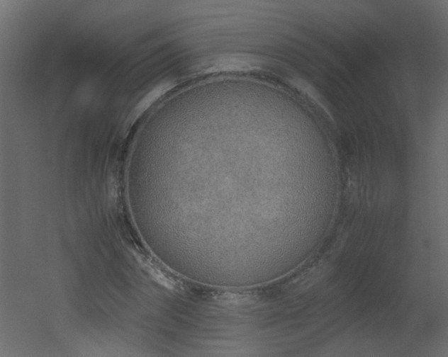 X0000051910874200506241440