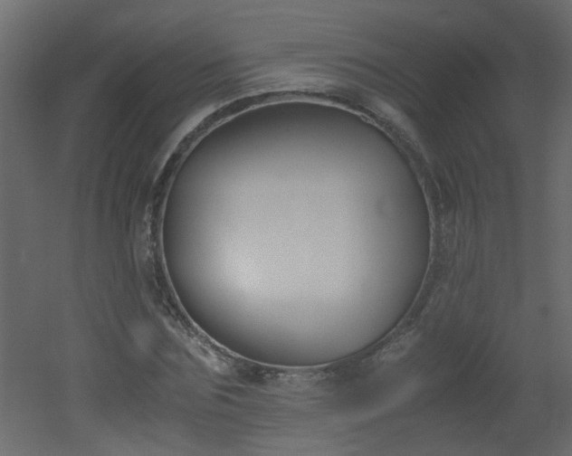 X0000051910875200506241440