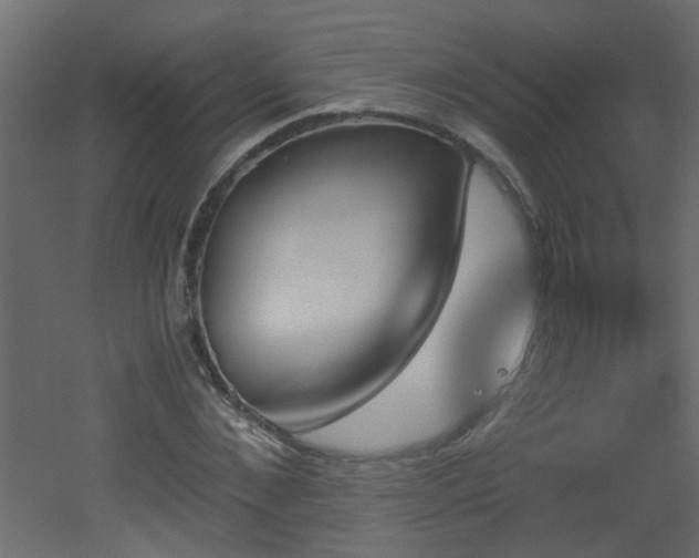 X0000051910876200506241440