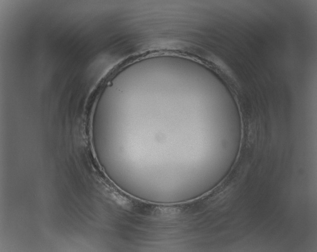 X0000051910878200506241440