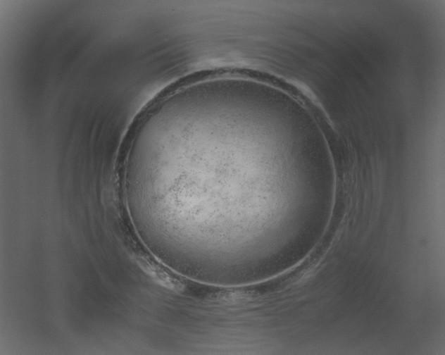 X0000051910879200506241440